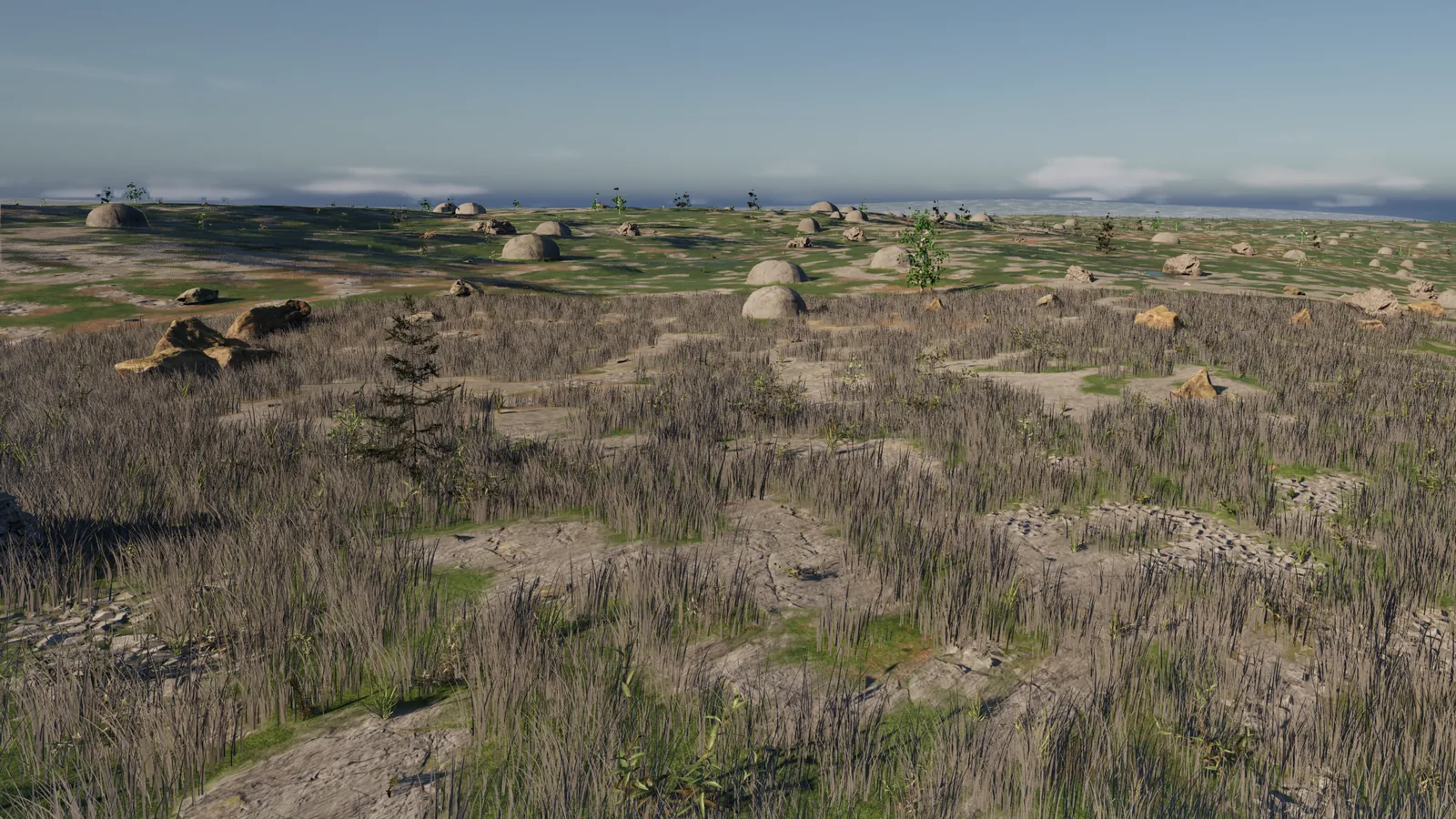 The high plateau strewn with stones and boulders