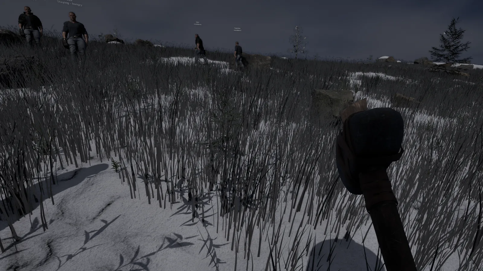 A winter night in the mountains