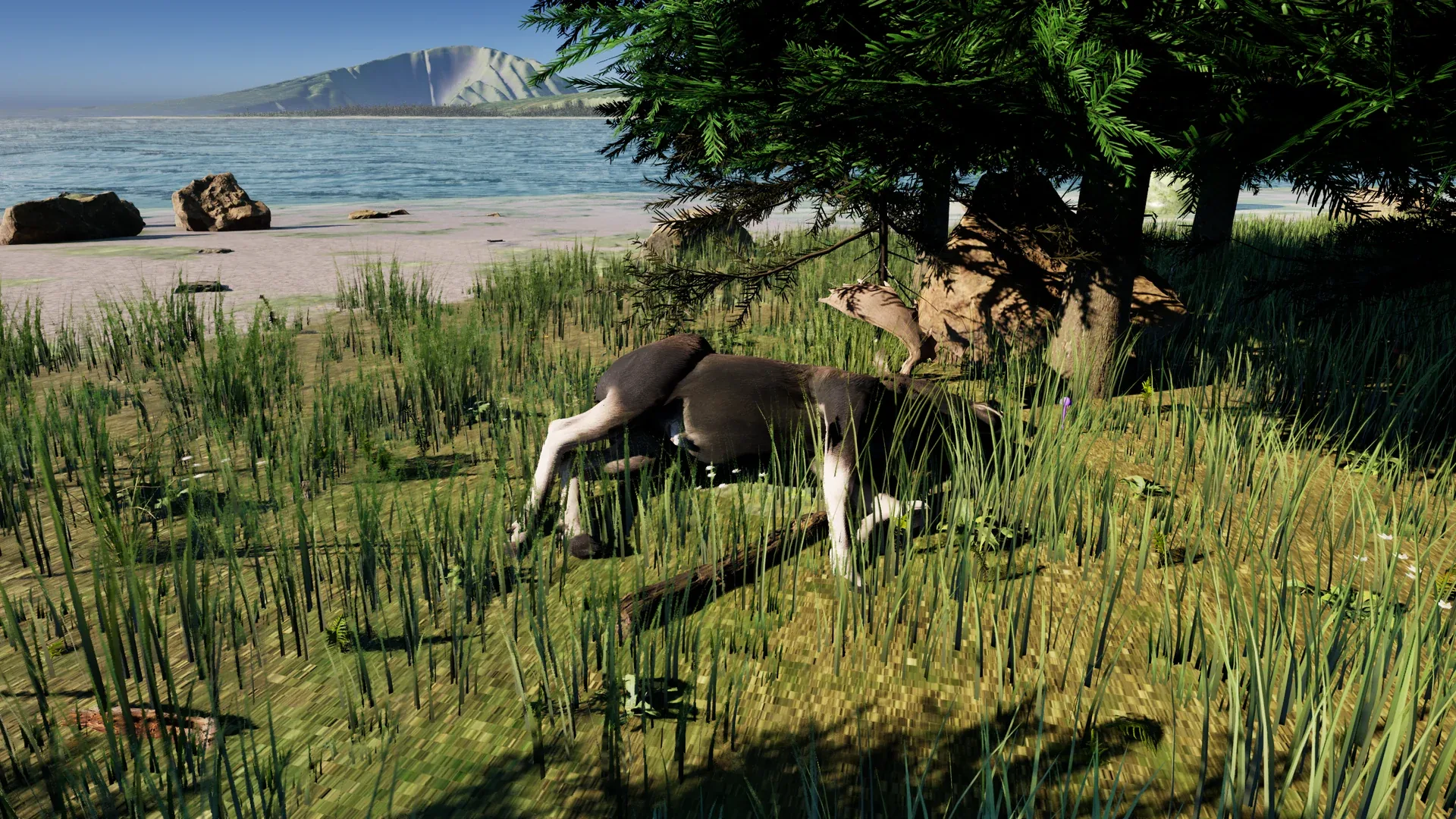 A felled elk in tall grass