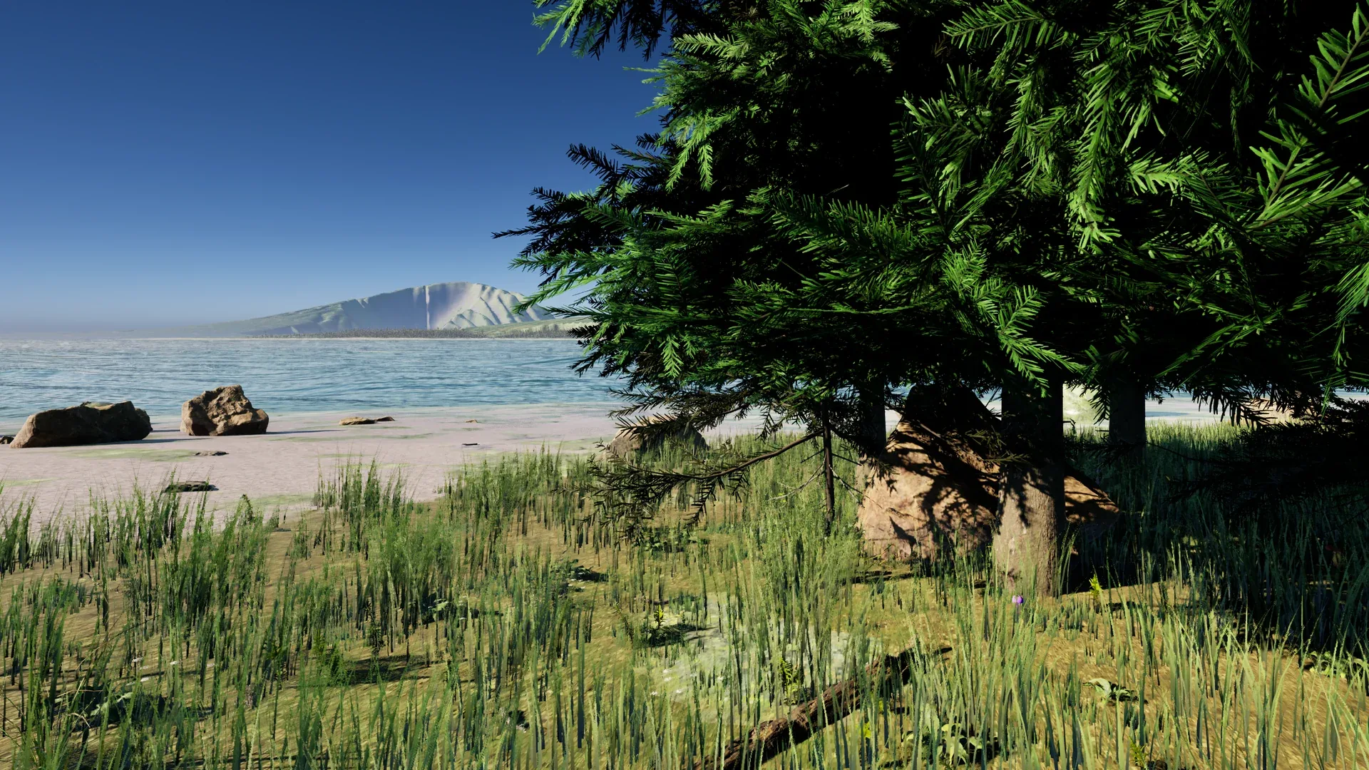 A grassy shore under spruce trees with a calm fjord and a bare mountain in the distance