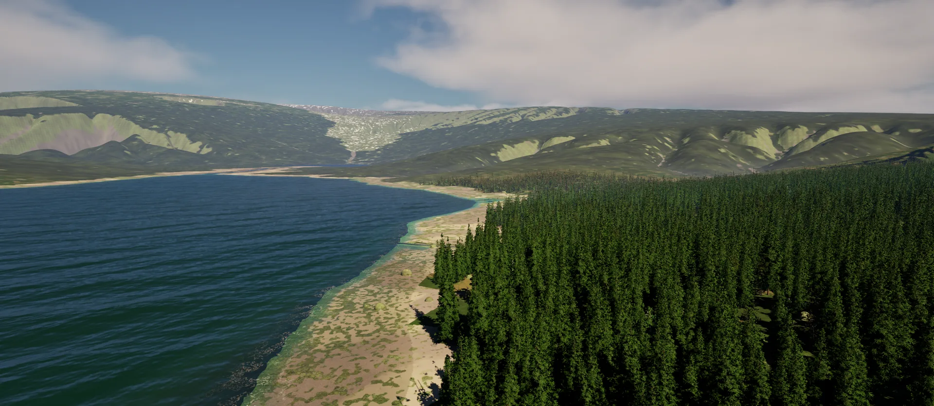 Aerial view of a long inlet with a pale beach, dense dark spruce forest on one side and green mountains with a high valley behind
