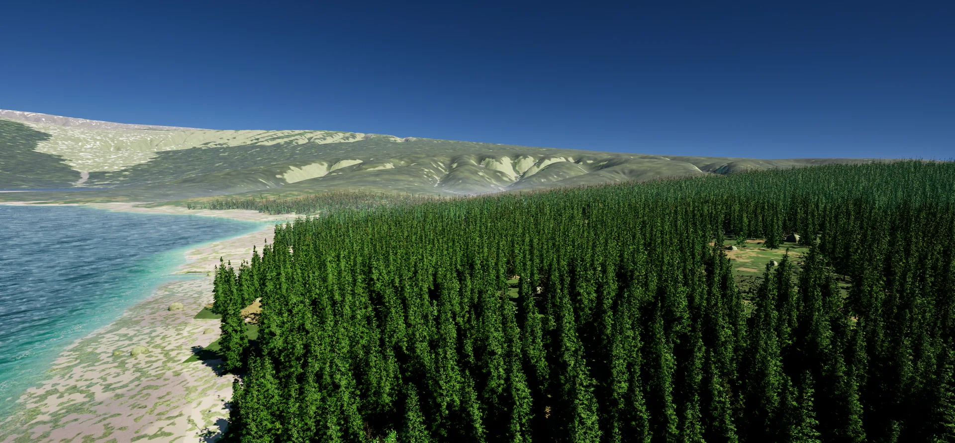 Dense spruce forest along a turquoise shore, fading into a darker green canopy towards grassy mountains in the distance