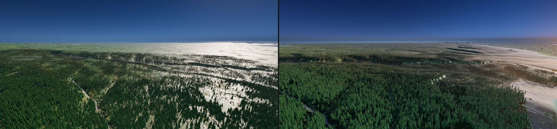 A forested coastal plain twice: on the left large parts glare white in the low sun, on the right the same plain is green and olive