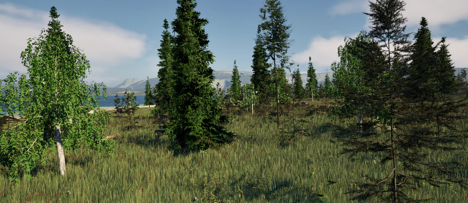 A coastal meadow with birch and spruce trees looking out toward the blue fjord and distant mountains