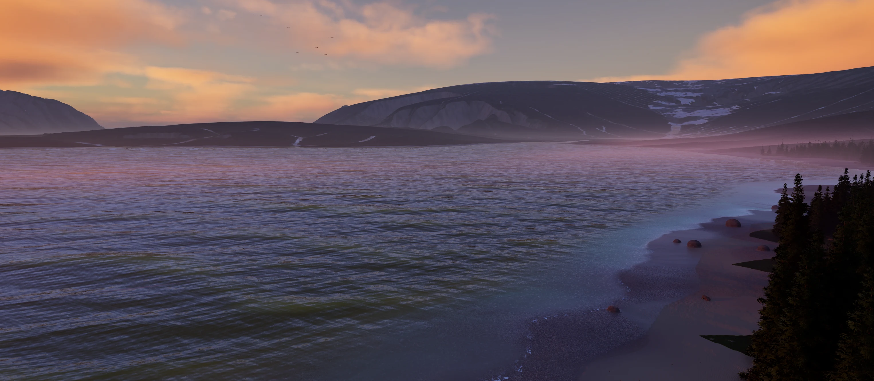 Pink and gold sunset over the fjord water, with a sandy shore on the right, dark spruce trees, and birds wheeling high in the sky